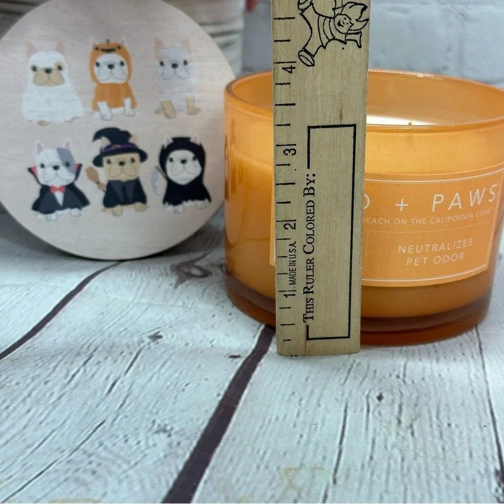 NWT sand + paws jack o'lantern candle with frenchies french bulldog coastume